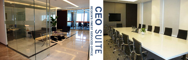 "CEO SUITE"